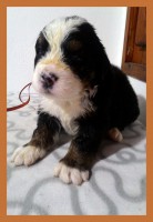 /album/a3-tyzden-3rd-week/kolaz-iii-8-jpg/